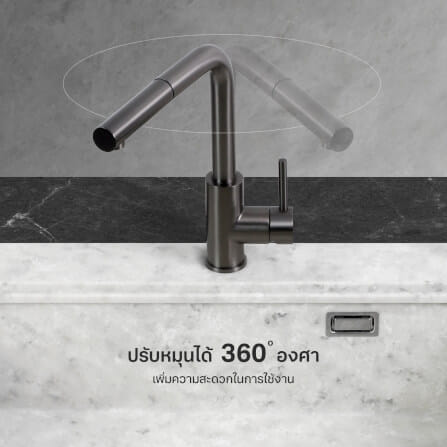 ก๊อกซิงค์สำหรับอ่างล้างจาน EVE LEXI GUNMETAL EP สเตนเลส 30 ซม. สีดำเงา_2